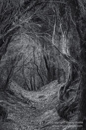 Australia, Black and White, Landscape, Lighthouses, Monochrome, Nature, Photography, Point Hicks, seascape, Travel, Wilderness