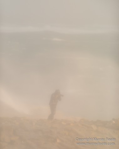 Cara cara, Falkland Islands, Gentoo Penguins, King Cormorant, Landscape, Nature, Photography, Sea Lion Island, seascape, Travel, Wilderness, Wildlife