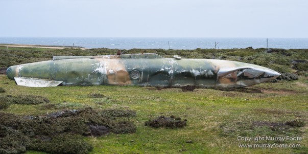 Falkland Islands, Falklands War, Landscape, Nature, Pebble Island, Photography, Travel