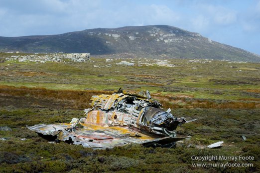 Falkland Islands, Falklands War, Landscape, Nature, Pebble Island, Photography, Travel