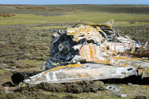 Falkland Islands, Falklands War, Landscape, Nature, Pebble Island, Photography, Travel