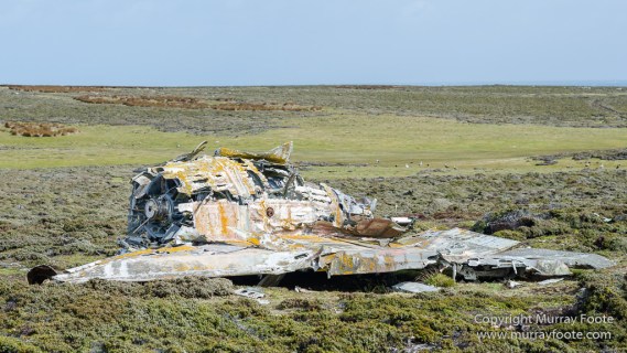 Falkland Islands, Falklands War, Landscape, Nature, Pebble Island, Photography, Travel