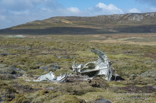 Falkland Islands, Falklands War, Landscape, Nature, Pebble Island, Photography, Travel