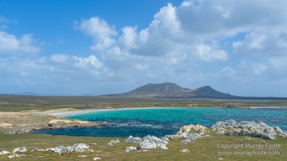Falkland Islands, Landscape, Nature, Pebble Island, Photography, seascape, Travel, Wilderness