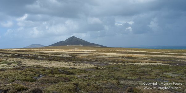 Falkland Islands, Landscape, Nature, Pebble Island, Photography, seascape, Travel, Wilderness