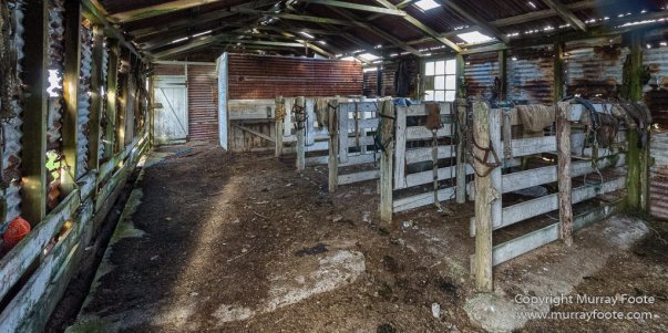 Falkland Islands, History, Landscape, Nature, Pebble Island, Photography, seascape, Travel