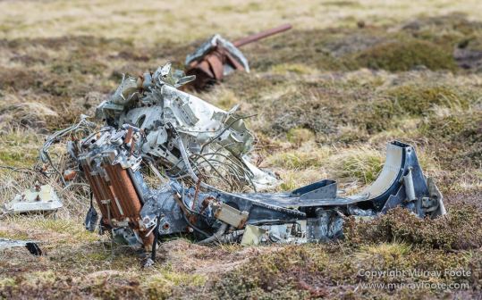 Falkland Islands, Falklands War, Landscape, Nature, Pebble Island, Photography, Travel