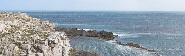 Falkland Islands, Landscape, Nature, Pebble Island, Photography, seascape, Travel, Wilderness