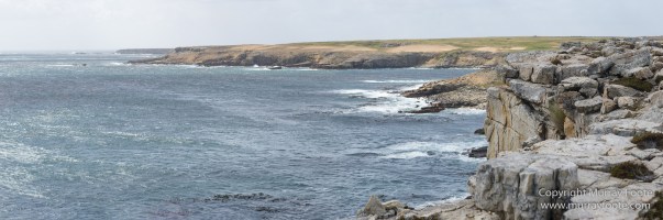 Falkland Islands, Landscape, Nature, Pebble Island, Photography, seascape, Travel, Wilderness