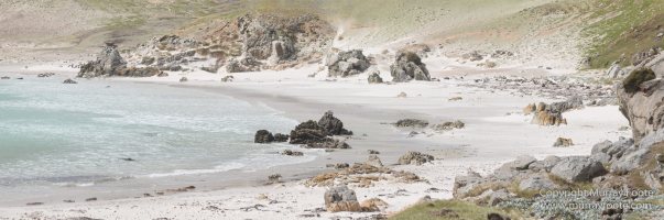 Falkland Islands, Landscape, Nature, Pebble Island, Photography, seascape, Travel, Wilderness