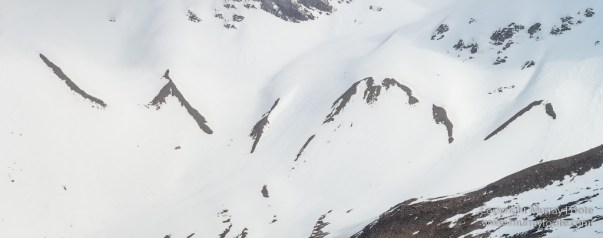 Elephant seals, King Penguins, Landscape, Nature, Photography, seascape, South Georgia, Travel, Wilderness, Wildlife