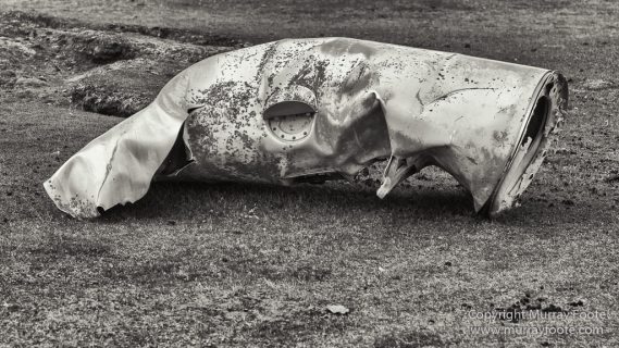 Cara cara, Falkland Islands, King Cormorant, Landscape, Nature, Patagonian Crested Duck, Pebble Island, Photography, Rockhopper Penguins, seascape, Travel, Turkey vultures, Upland Goose, Wilderness, Wildlife