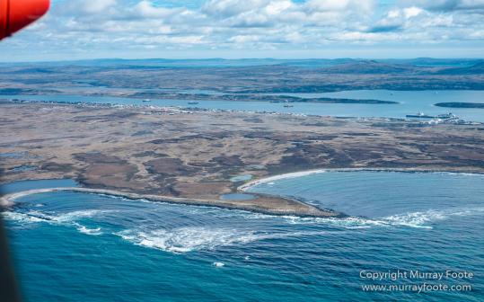 Falkland Islands, Landscape, Nature, Penguins, Photography, Rockhopper Penguins, seascape, Travel, Wilderness, Wildlife