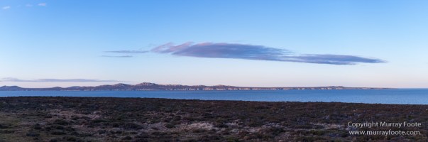 Falkland Islands, Landscape, Nature, Penguins, Photography, Rockhopper Penguins, seascape, Travel, Wilderness, Wildlife