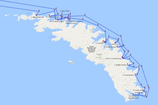 Black-browed albatross, Cape Petrel, Falkland Islands, Giant Petrel, Landscape, Nature, Photography, seascape, Snow Petrel, South Georgia, Travel, Wilderness, Wildlife