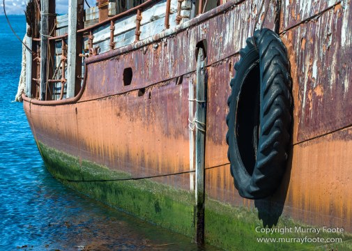 Grytviken, King Penguins, Landscape, Nature, Photography, Rust, seascape, South Georgia, Travel, Whaling, Wilderness, Wildlife