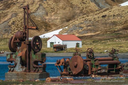Grytviken, King Penguins, Landscape, Nature, Photography, Rust, seascape, South Georgia, Travel, Whaling, Wilderness, Wildlife
