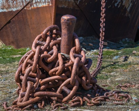 Grytviken, King Penguins, Landscape, Nature, Photography, Rust, seascape, South Georgia, Travel, Whaling, Wilderness, Wildlife