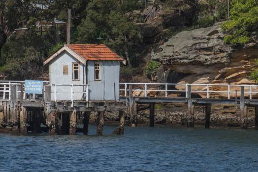 Australia, Blues, BluesCruise, Live Music, Michelle van der Meer, P. J. O'Brien, Photography, Sydney, Sydney Harbour, Tony Cini, Travel