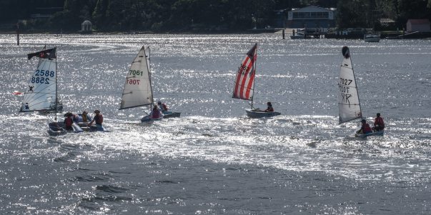 Australia, Blues, BluesCruise, Live Music, Michelle van der Meer, P. J. O'Brien, Photography, Sydney, Sydney Harbour, Tony Cini, Travel