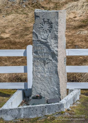 Grytviken, King Penguins, Landscape, Nature, Photography, Rust, seascape, South Georgia, Travel, Whaling, Wilderness, Wildlife