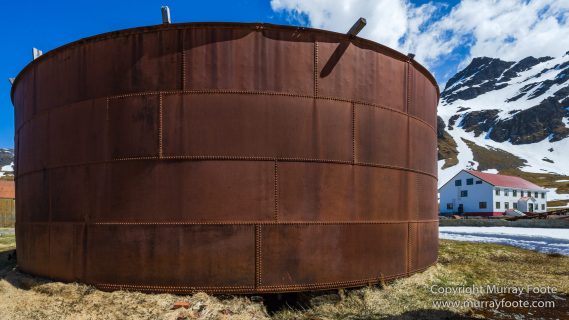 Grytviken, King Penguins, Landscape, Nature, Photography, Rust, seascape, South Georgia, Travel, Whaling, Wilderness, Wildlife