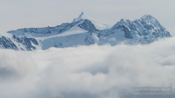 Fur seal, King Penguins, Landscape, Nature, Photography, seascape, South Georgia, Travel, Wilderness, Wildlife