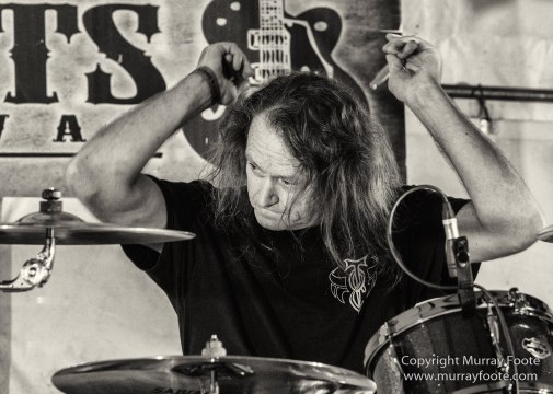 Australia, Blues, Blues Festivals, Live Music, Photography, Sydney, Sydney Blues Festival, Travel