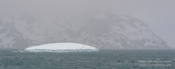 Drygalski Fjord, Icebergs, Landscape, Nature, Photography, seascape, South Georgia, Travel, Wilderness