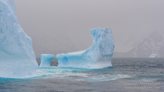 Drygalski Fjord, Icebergs, Landscape, Nature, Photography, seascape, South Georgia, Travel, Wilderness