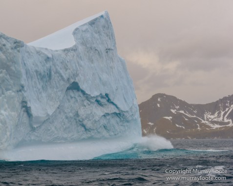 Drygalski Fjord, Icebergs, Landscape, Nature, Photography, seascape, South Georgia, Travel, Wilderness