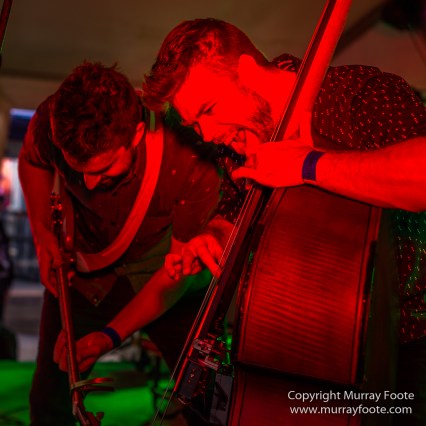 Australia, Blues, Blues Festivals, Live Music, Photography, Sydney, Sydney Blues Festival, Travel