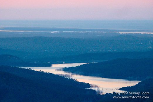 Australia, Binna Burra, Bruny Island, Bushwalking, Lamington National Park, Landscape, Nature, Photography, Queensland, Tasmania, Travel, Wildlife