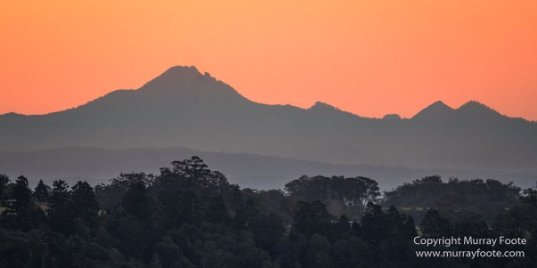 Australia, Binna Burra, Bruny Island, Bushwalking, Lamington National Park, Landscape, Nature, Photography, Queensland, Tasmania, Travel, Wildlife