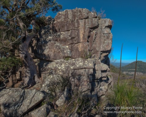 Australia, Binna Burra, Bruny Island, Bushwalking, Lamington National Park, Landscape, Nature, Photography, Queensland, Tasmania, Travel, Wildlife