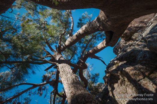 Australia, Binna Burra, Bruny Island, Bushwalking, Lamington National Park, Landscape, Nature, Photography, Queensland, Tasmania, Travel, Wildlife
