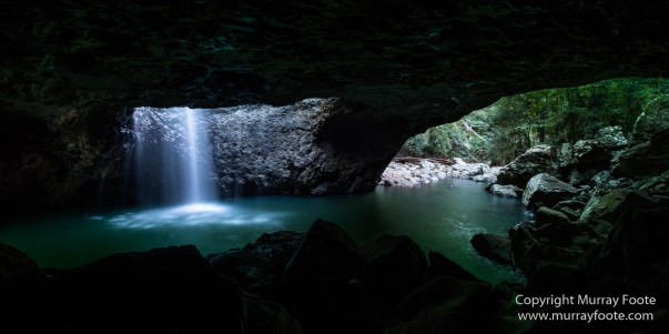 Australia, Binna Burra, Bush Turkey, Bushwalking, Coomera Circuit, Lamington National Park, Landscape, Natural Bridge, Nature, Photography, Queensland, Travel, Wildlife