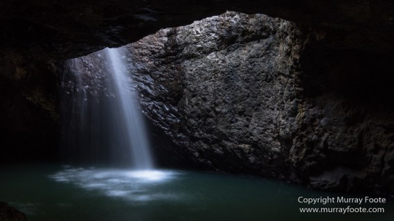 Australia, Binna Burra, Bush Turkey, Bushwalking, Coomera Circuit, Lamington National Park, Landscape, Natural Bridge, Nature, Photography, Queensland, Travel, Wildlife