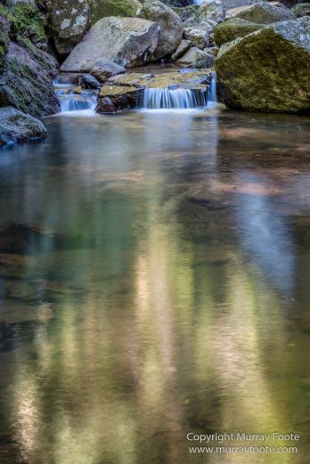 Australia, Binna Burra, Bush Turkey, Bushwalking, Coomera Circuit, Lamington National Park, Landscape, Natural Bridge, Nature, Photography, Queensland, Travel, Wildlife