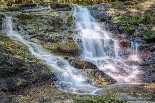 Australia, Binna Burra, Bush Turkey, Bushwalking, Coomera Circuit, Lamington National Park, Landscape, Natural Bridge, Nature, Photography, Queensland, Travel, Wildlife