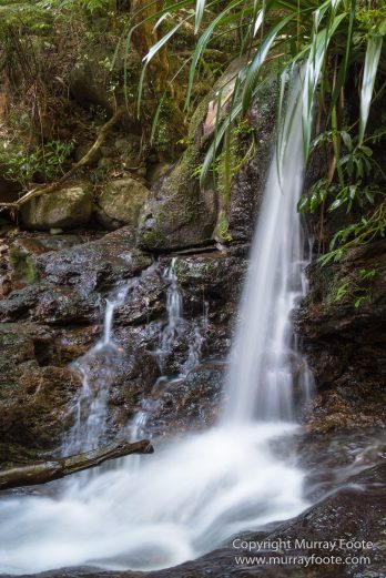 Australia, Binna Burra, Bush Turkey, Bushwalking, Coomera Circuit, Lamington National Park, Landscape, Natural Bridge, Nature, Photography, Queensland, Travel, Wildlife