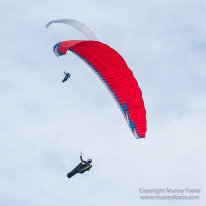 Australia, Binna Burra, Bush Turkey, Bushwalking, Coomera Circuit, Lamington National Park, Landscape, Natural Bridge, Nature, Photography, Queensland, Travel, Wildlife