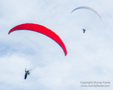 Australia, Binna Burra, Bush Turkey, Bushwalking, Coomera Circuit, Lamington National Park, Landscape, Natural Bridge, Nature, Photography, Queensland, Travel, Wildlife