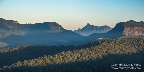 Australia, Binna Burra, Bruny Island, Bushwalking, Lamington National Park, Landscape, Nature, Photography, Queensland, Tasmania, Travel, Wildlife