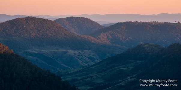 Australia, Binna Burra, Bruny Island, Bushwalking, Lamington National Park, Landscape, Nature, Photography, Queensland, Tasmania, Travel, Wildlife