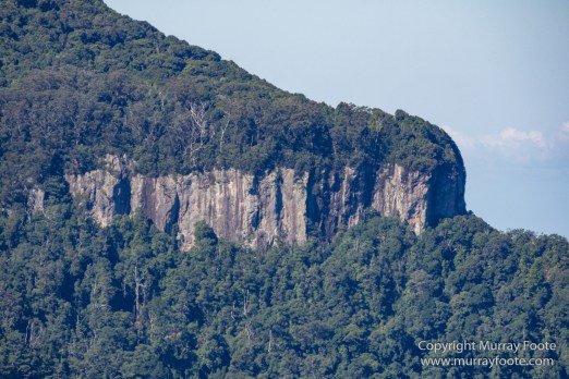 Australia, Binna Burra, Bruny Island, Bushwalking, Lamington National Park, Landscape, Nature, Photography, Queensland, Tasmania, Travel, Wildlife
