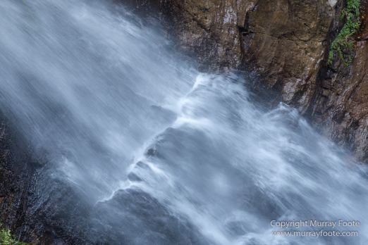 Australia, Binna Burra, Bush Turkey, Bushwalking, Coomera Circuit, Lamington National Park, Landscape, Natural Bridge, Nature, Photography, Queensland, Travel, Wildlife