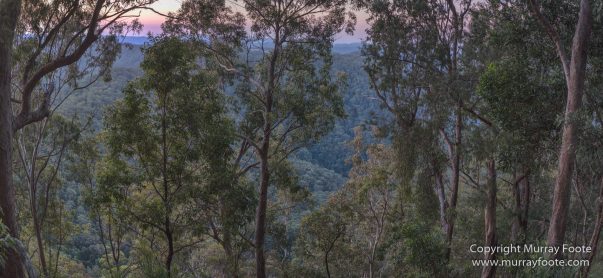 Australia, Binna Burra, Bush Turkey, Bushwalking, Coomera Circuit, Lamington National Park, Landscape, Natural Bridge, Nature, Photography, Queensland, Travel, Wildlife