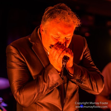 19 Twenty, Arc Riders, Australia, Blues, Ginhouse Bluesband, Live Music, Photography, Thirroul, Tomcat Playground, Tony Cini, Travel