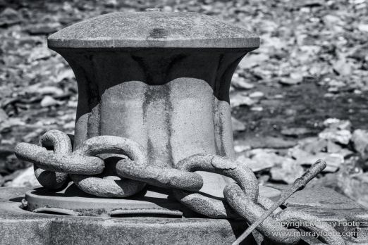 Albatross, Antarctic Tern, Black and White, Elephant seals, Fur seal, King Penguins, Landscape, Monochrome, Nature, Photography, seascape, South Georgia, Travel, Wilderness, Wildlife
